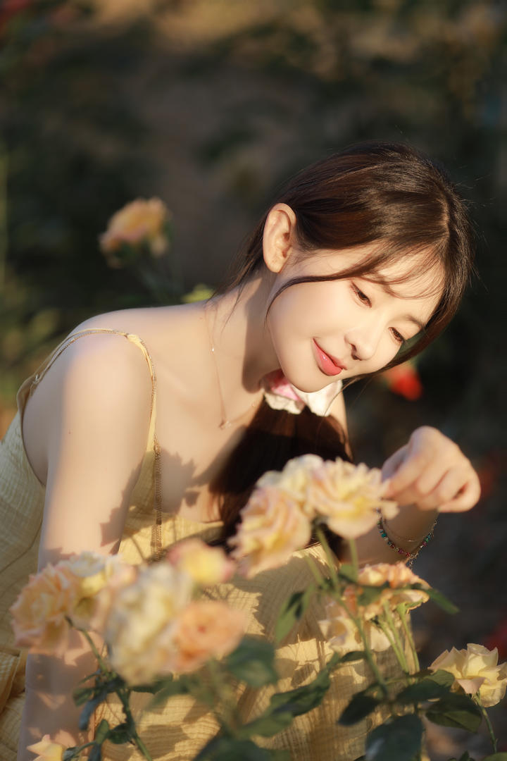 花季少女写真集|玫瑰花园里的淡黄色连衣裙×逆光拍摄参数大公开
